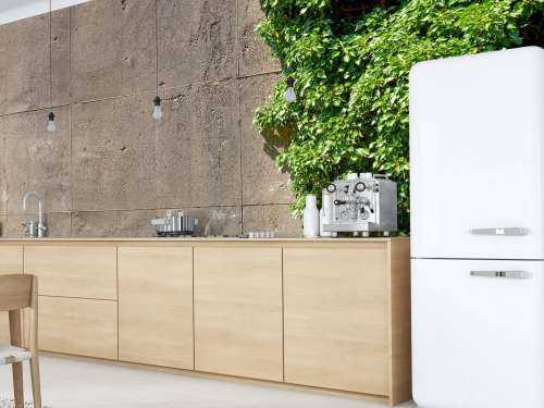 Beton mit Strauch