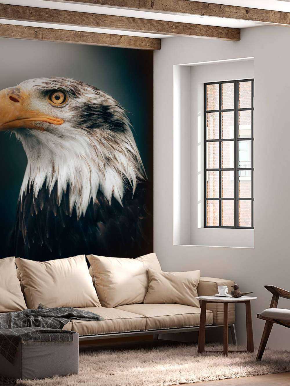 Nahaufnahme Seeadler