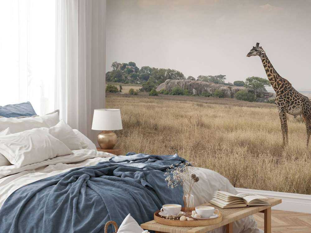 Giraffe in der Savanne