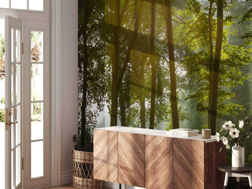 Wald in der Morgensonne
