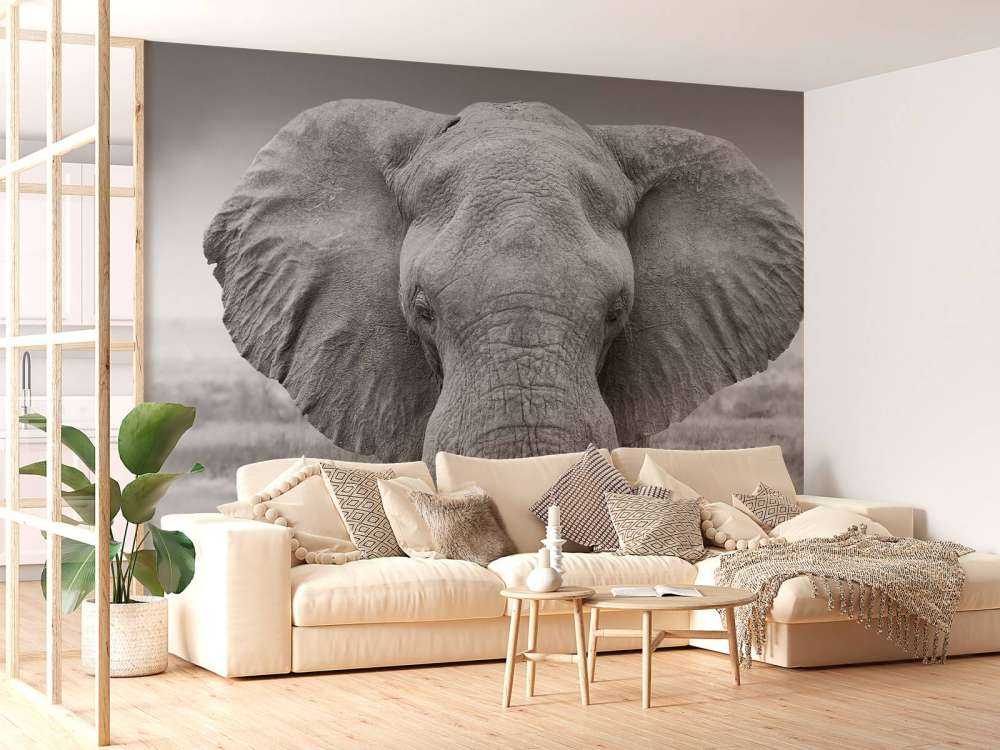 Elefant schwarz-weiß