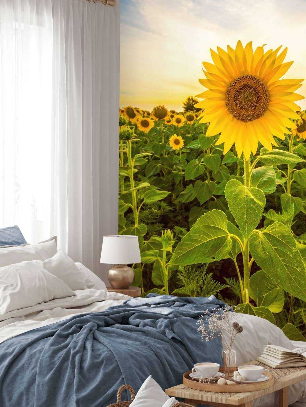 Sonnenblume auf dem Feld