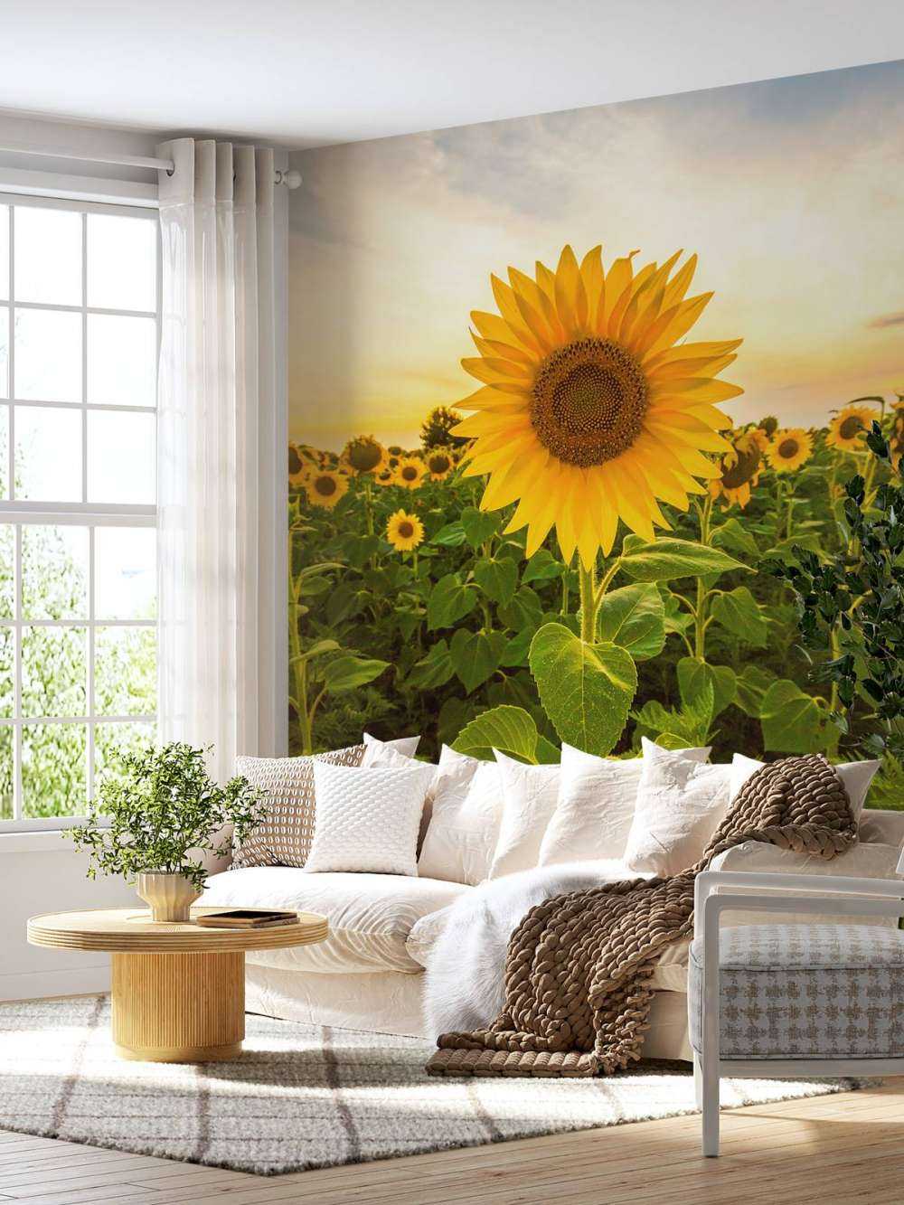 Sonnenblume auf dem Feld