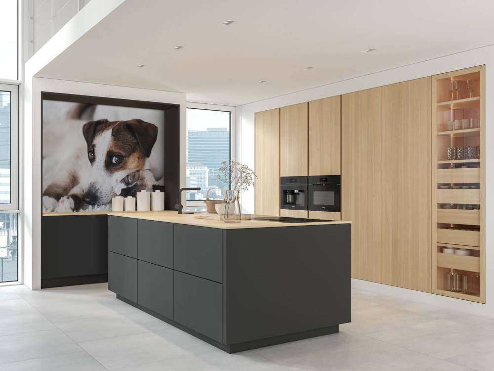 Hund und Katze