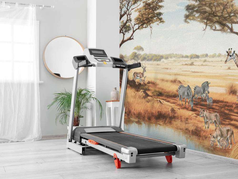 Safari-Landschaft in Farbe