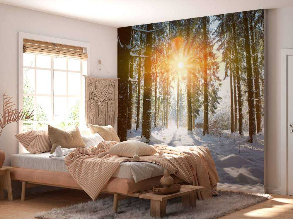 Sonnenlicht im Winterwald