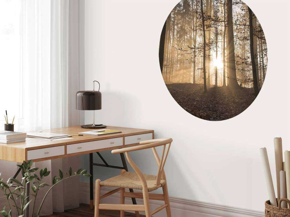 Sonnenstrahlen in einem nebligen Wald