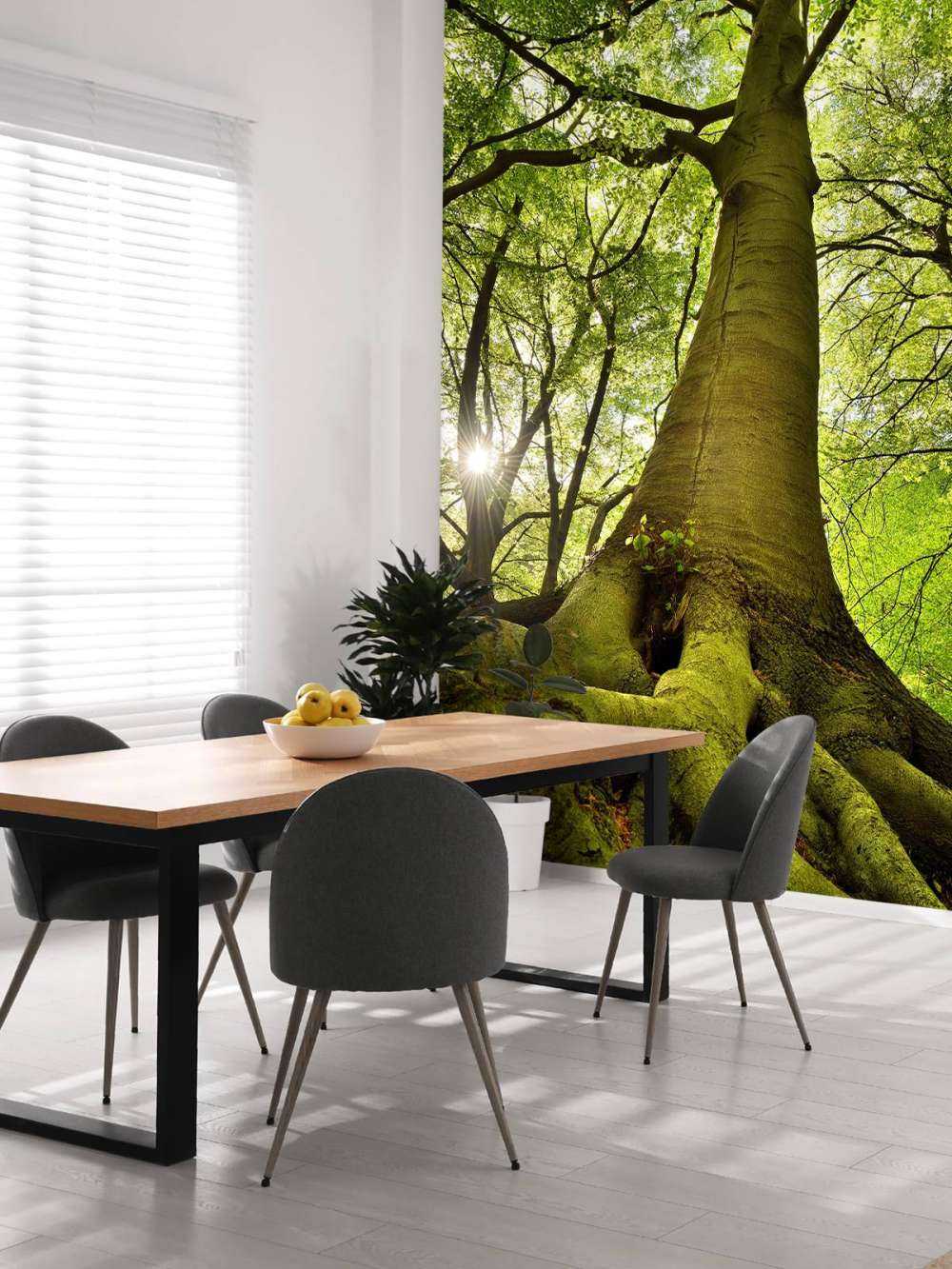 Großer Baum mit Wurzeln