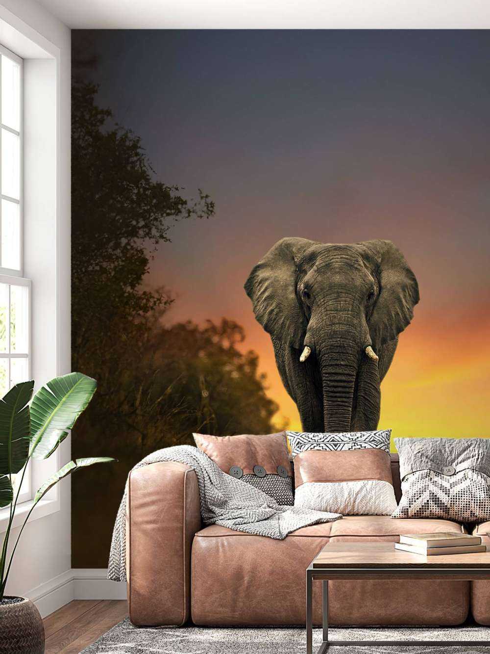 Elefant mit Sonnenuntergang