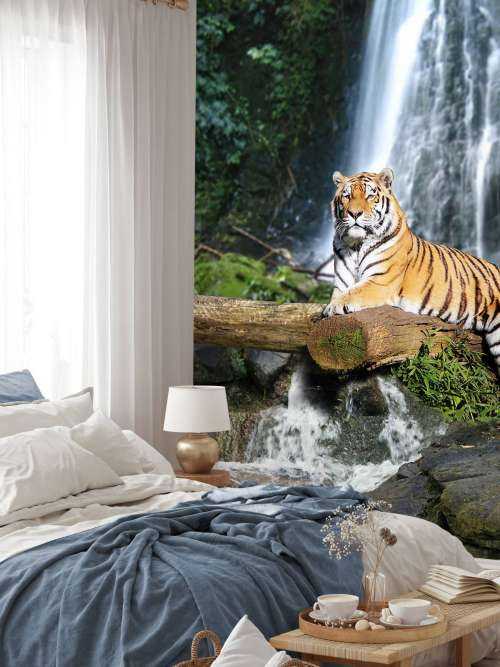 Tiger im Dschungel
