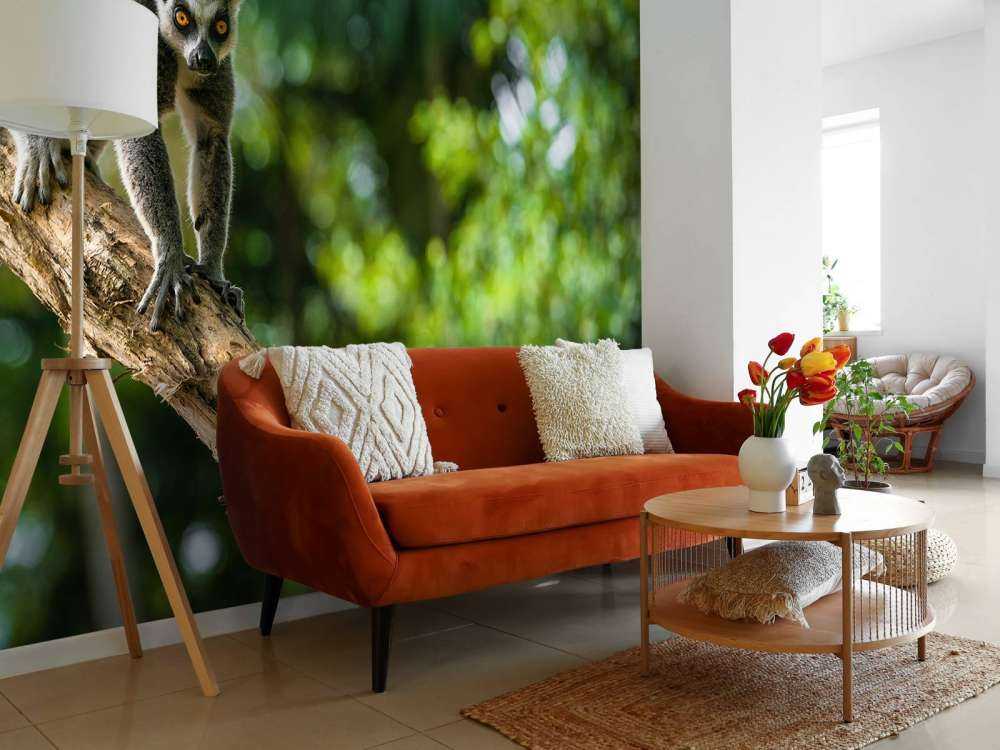 Ringelschwanzaffe in einem Baum