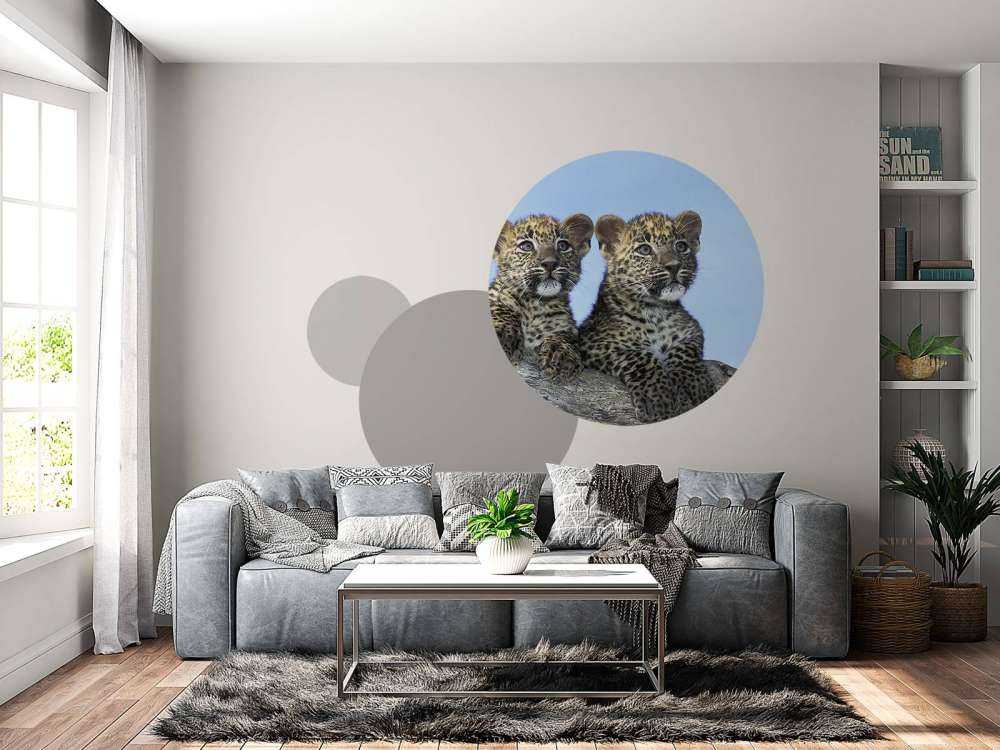 Kleine Leoparden
