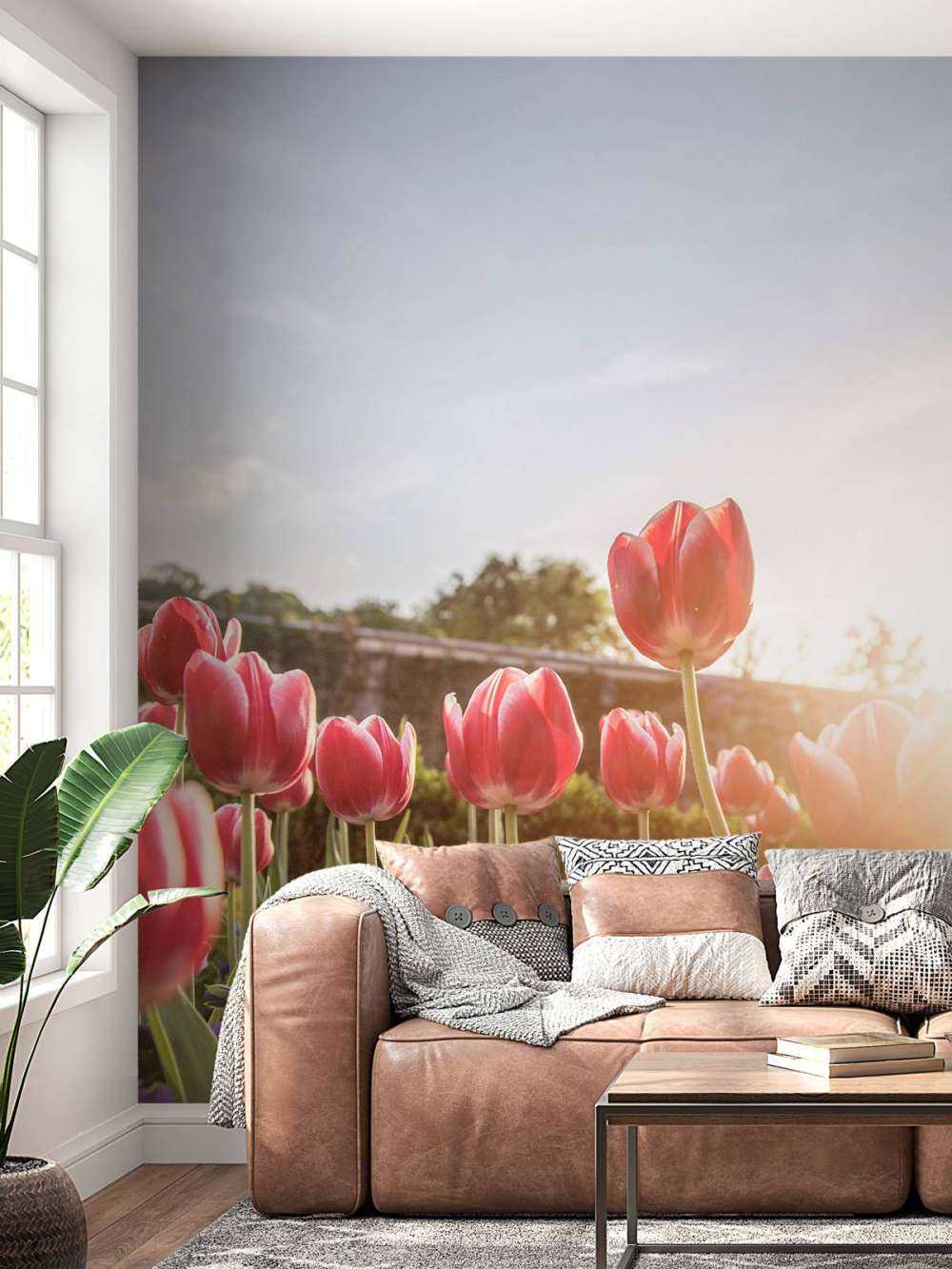Blumen in der Sonne