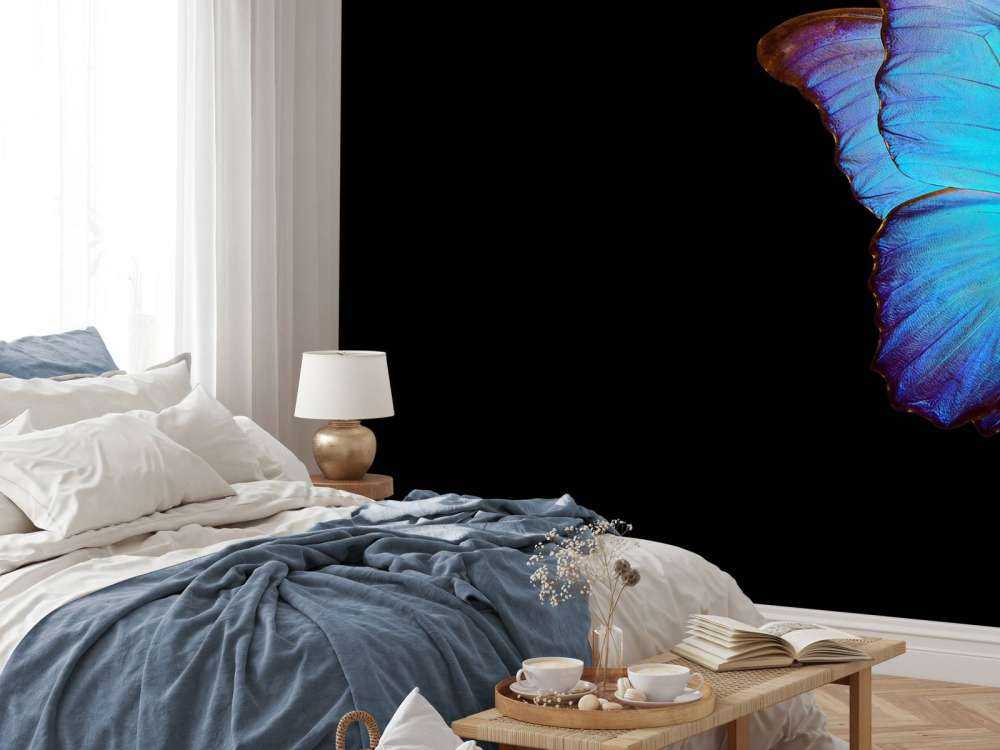Schmetterling auf Tulpe