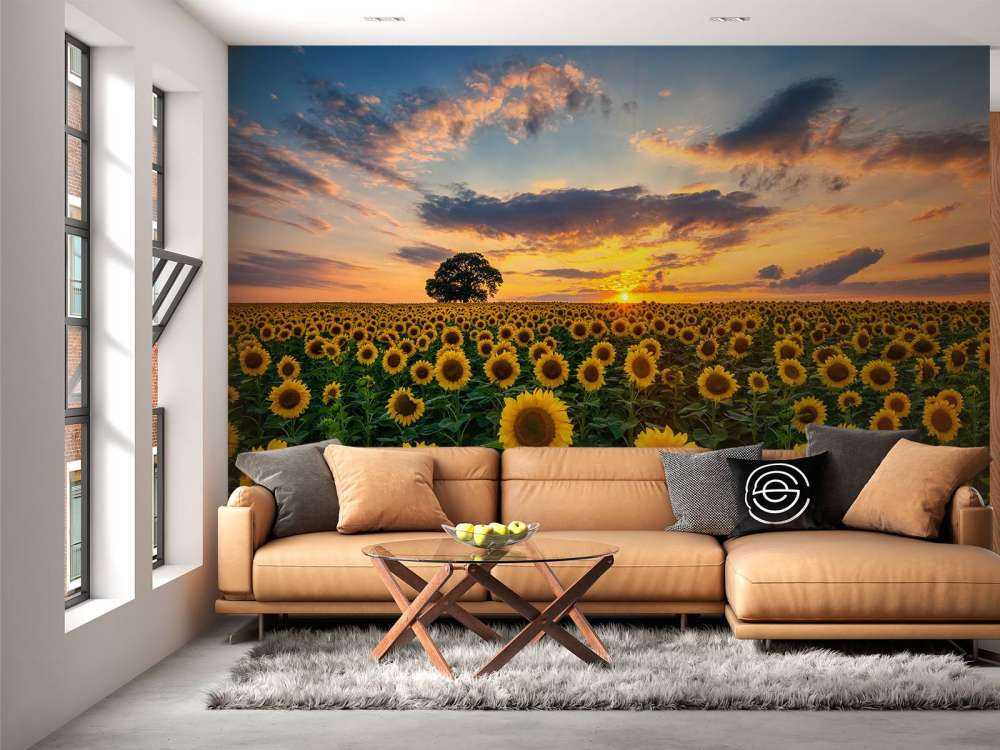 Feld voller Sonnenblumen