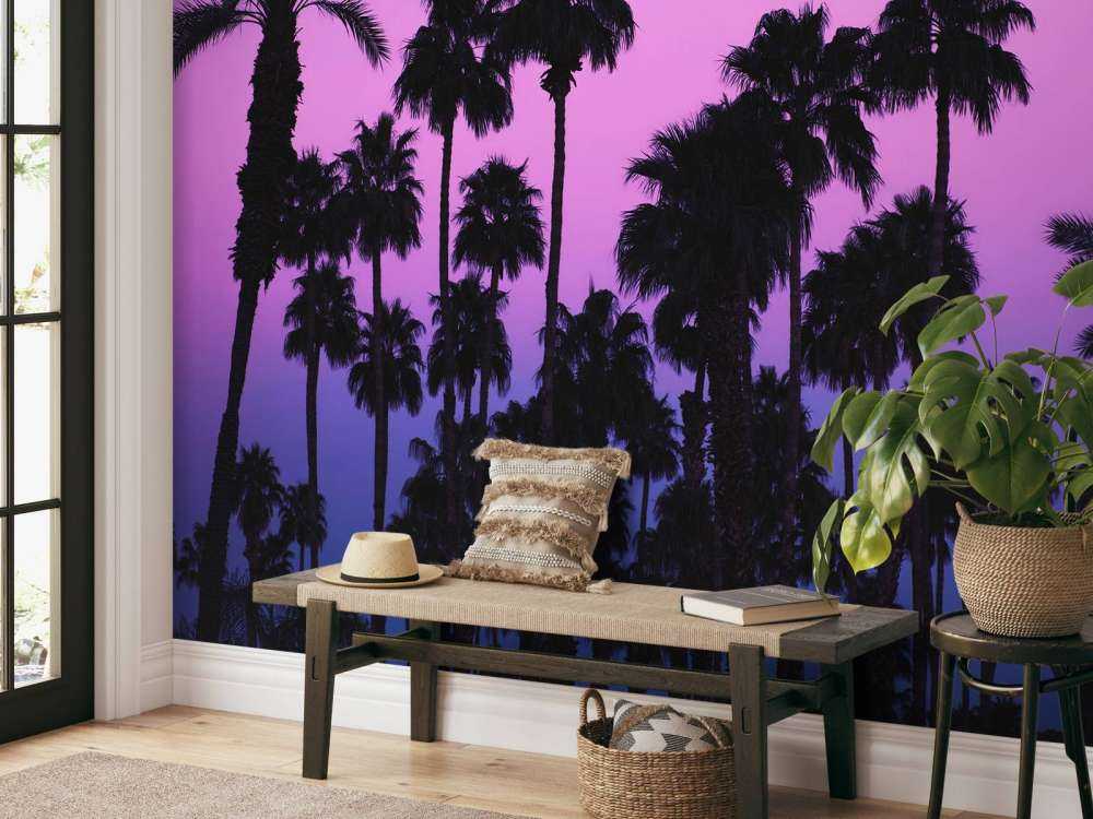Palms with Pink Sky