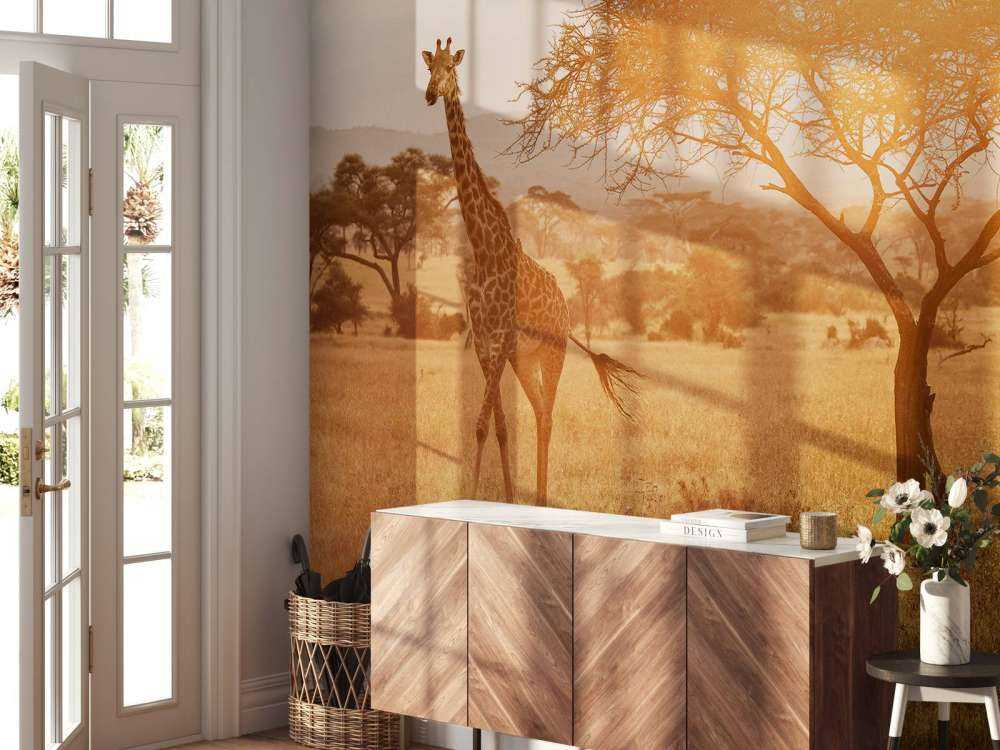 Wild giraffe