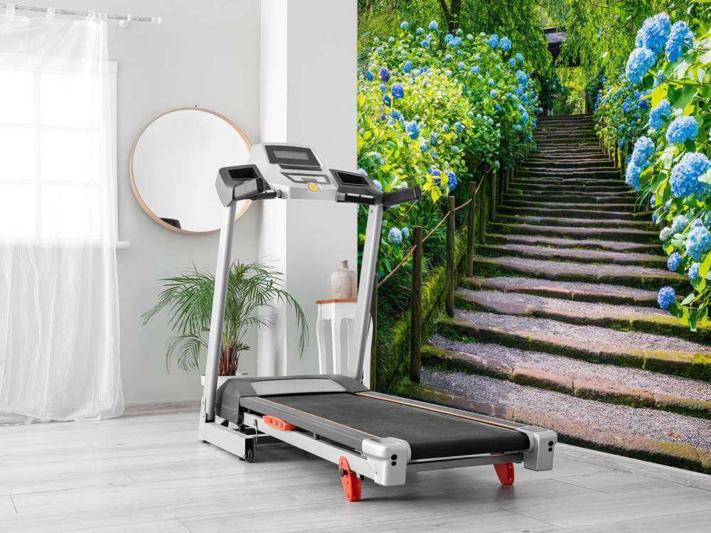 Treppe zwischen Hortensien