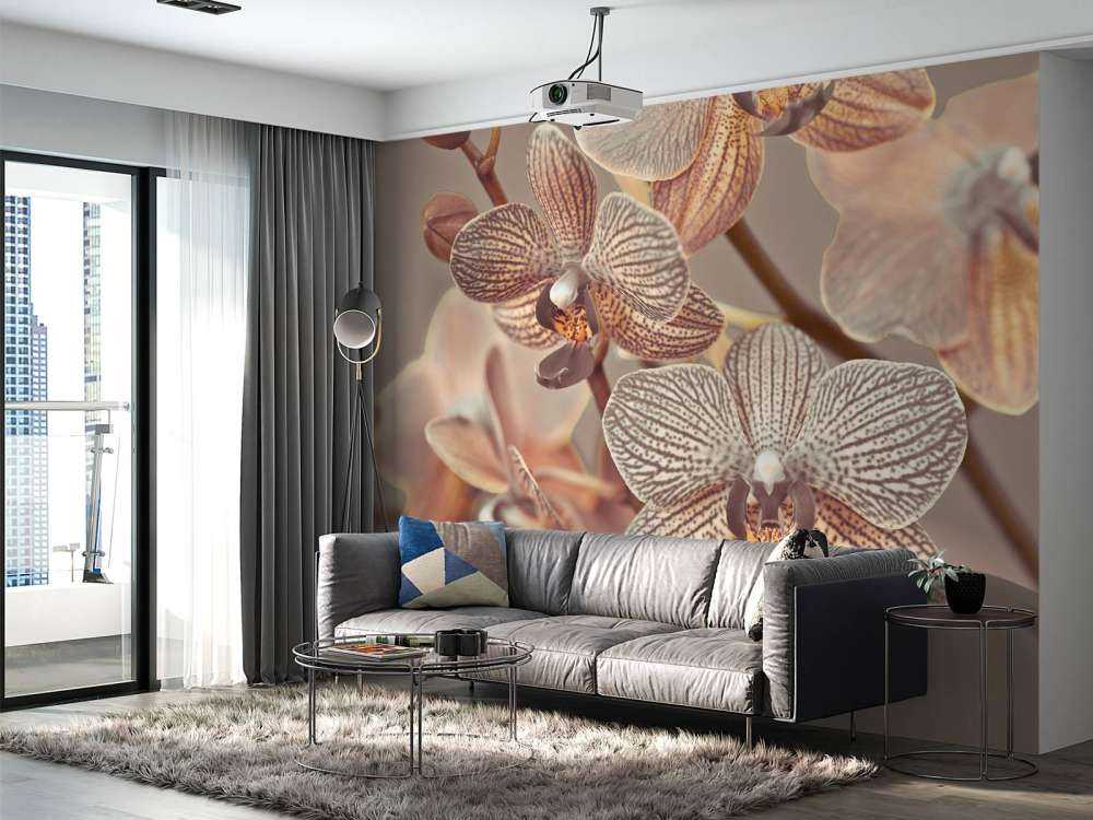 Nahaufnahme einer Orchidee