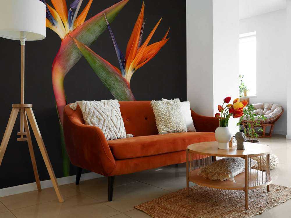 Paradiesvogel Blumen