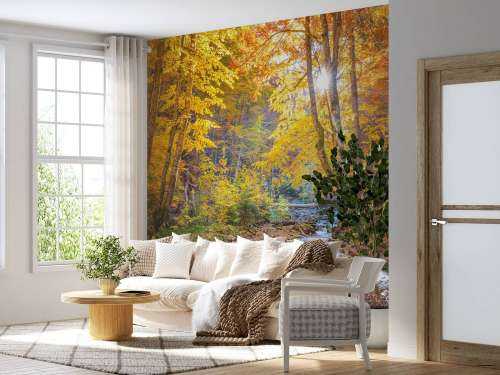 Herbst im wilden Wald