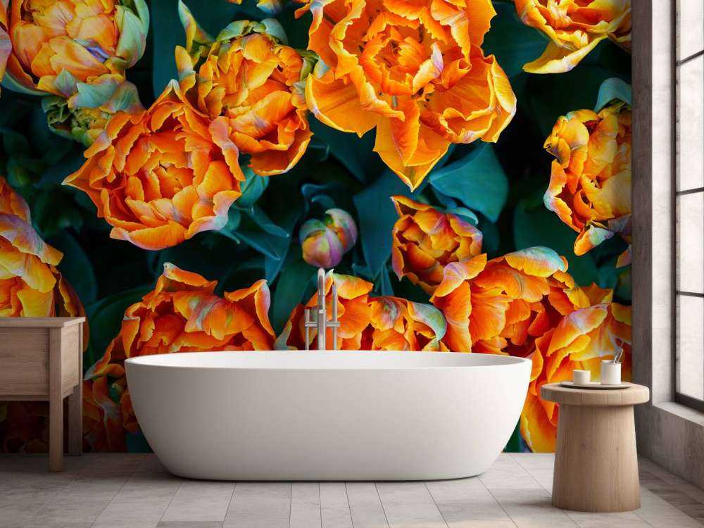 Nahaufnahme orangefarbene Tulpen