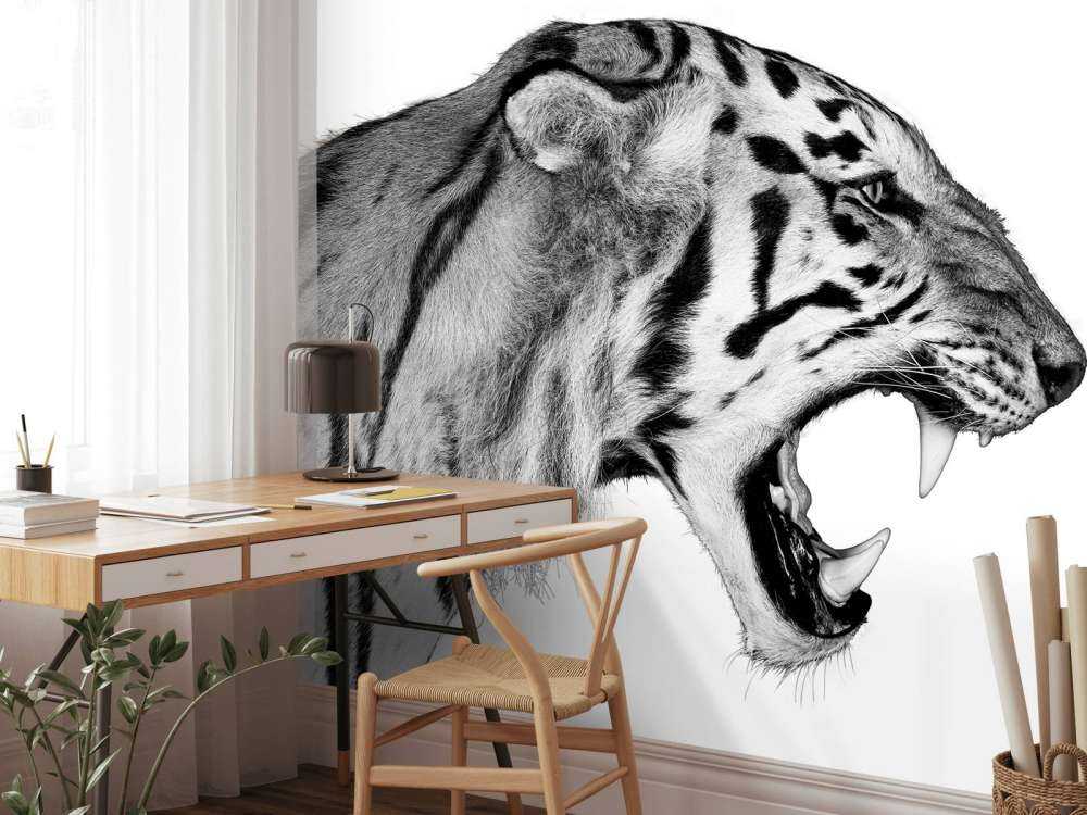Brüllender Tiger weiß