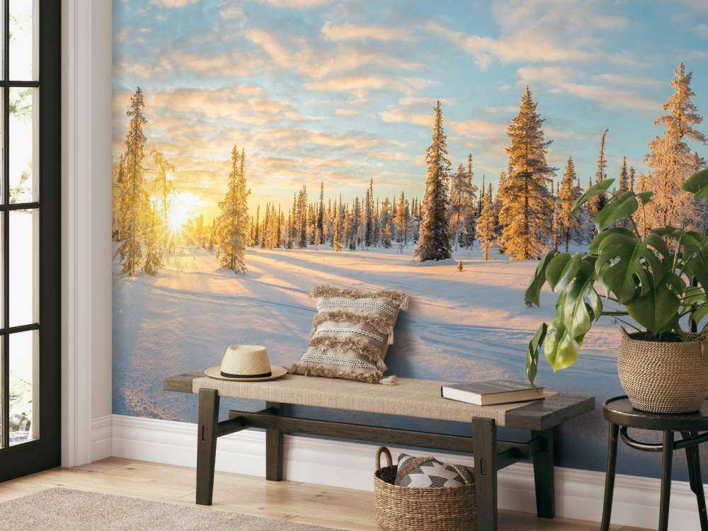 Schneelandschaft bei Sonnenuntergang