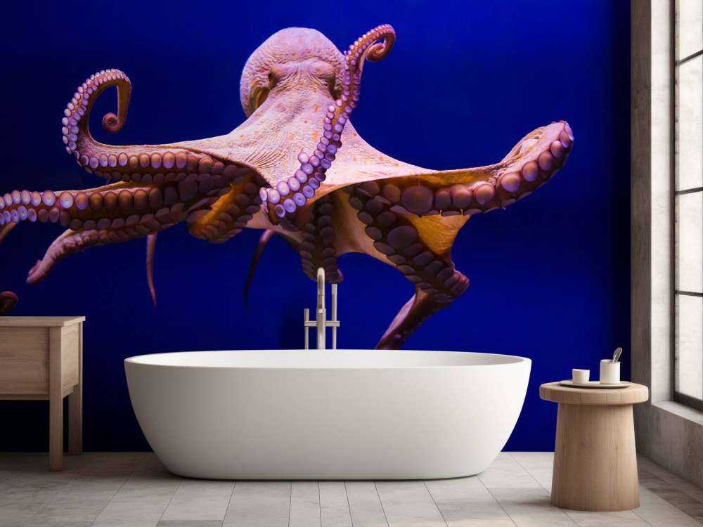 Oktopus
