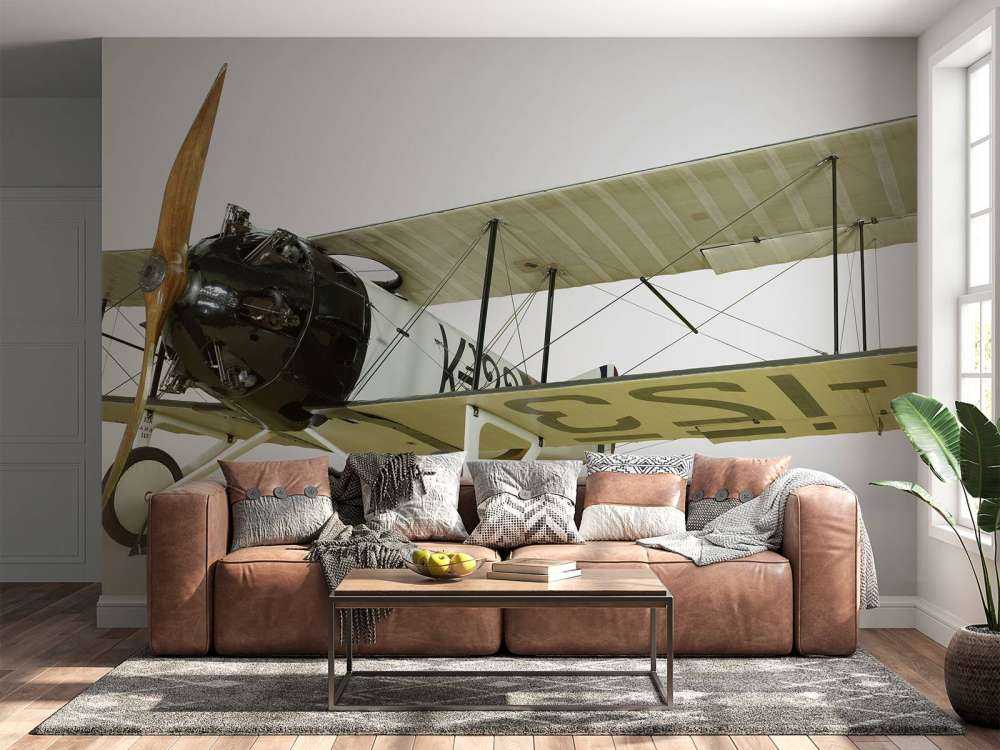 Altes Flugzeug FK 23 Bantam