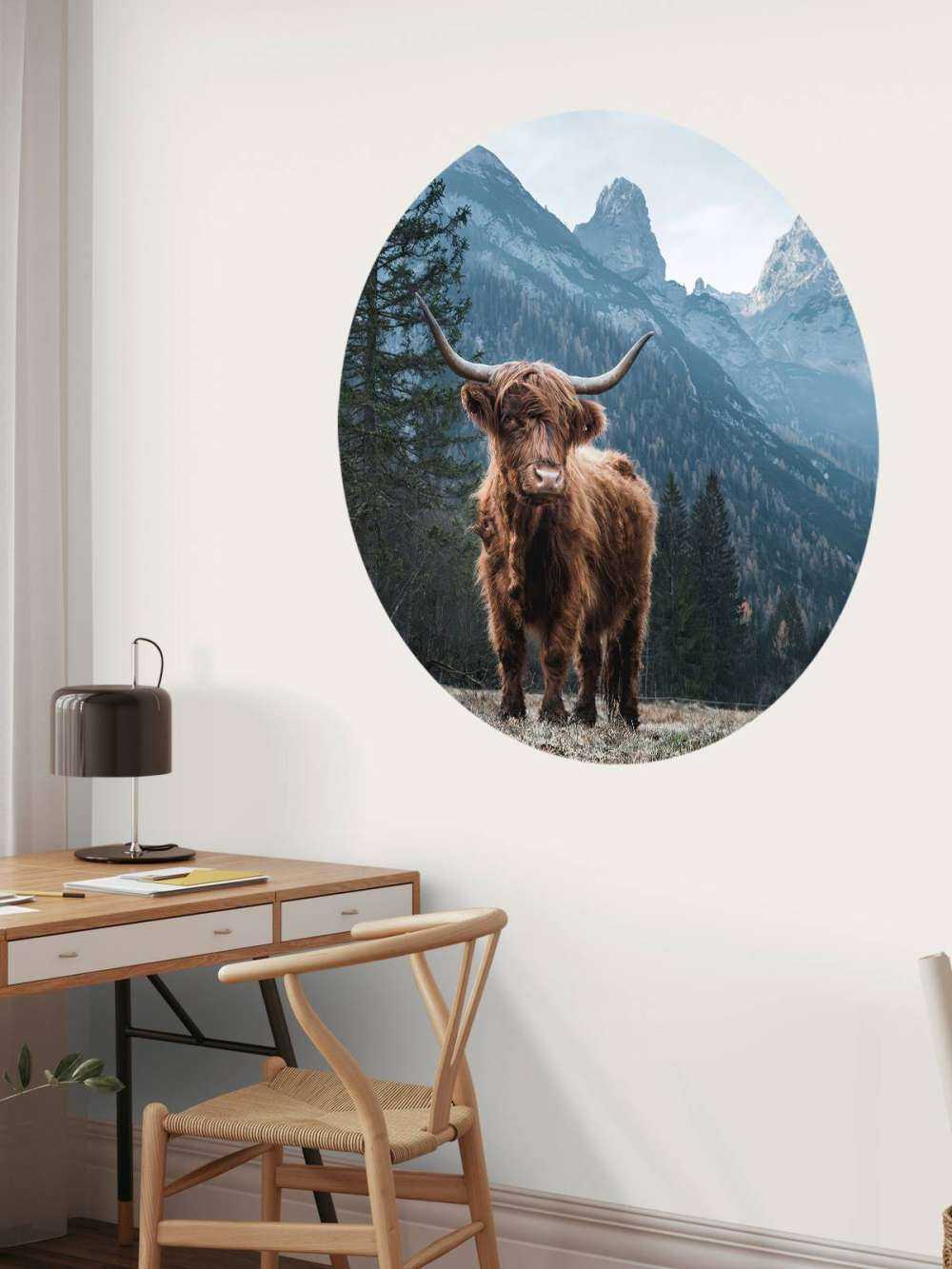 Schottischer Hochländer zwischen den Bäumen