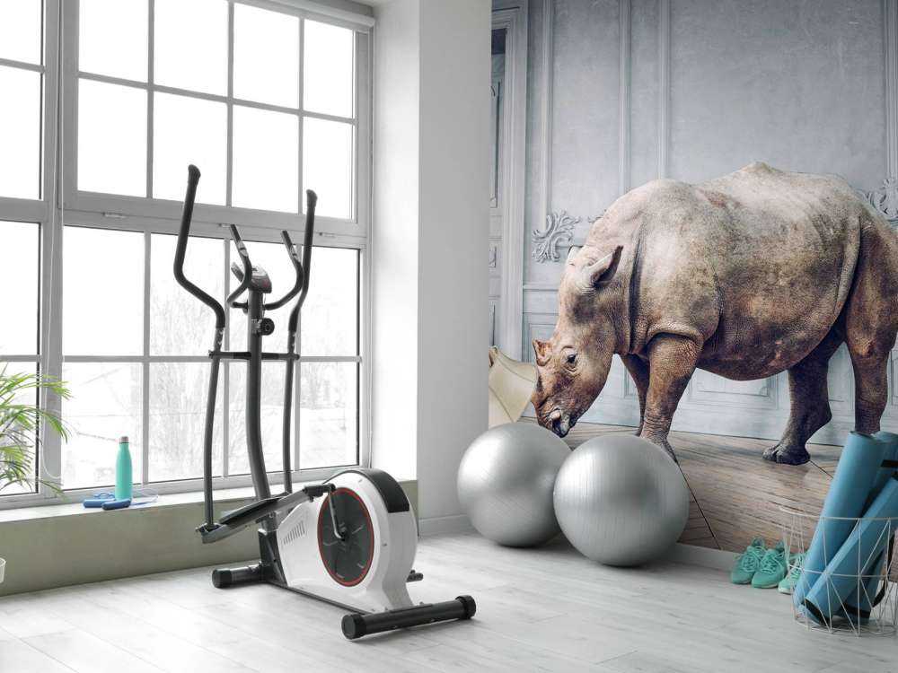 Rhinozeros mit Lampenschirm