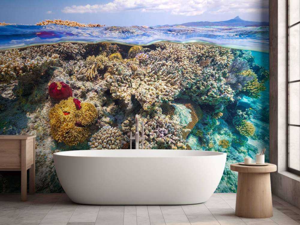 Mayotte : The Reef