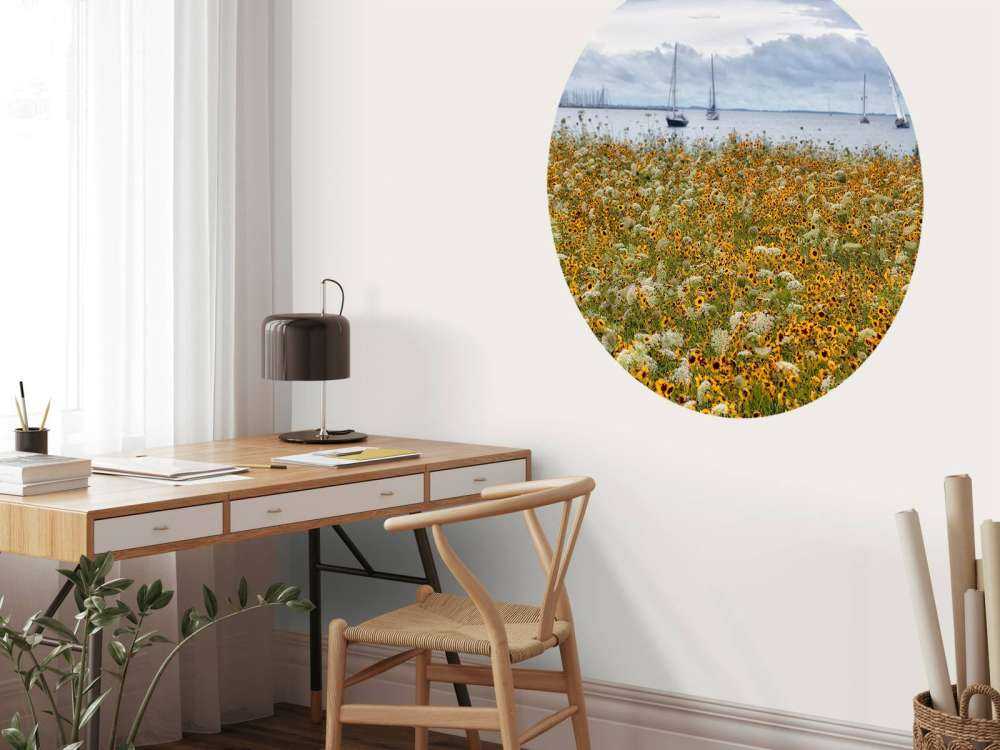 Dandelions
