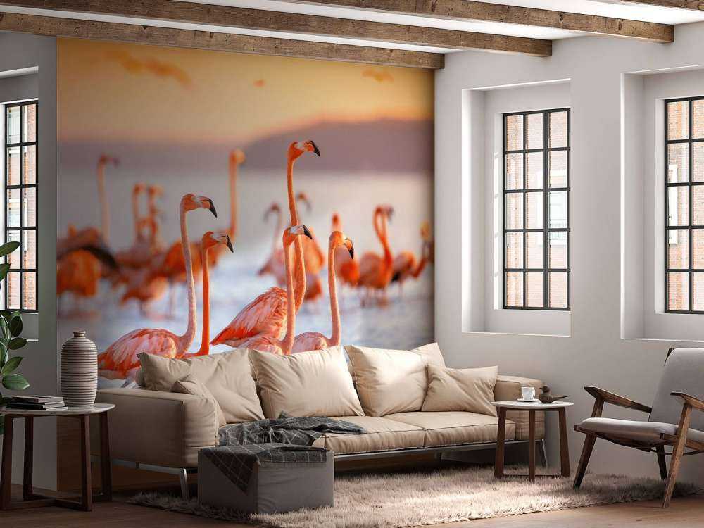 Glotzende Flamingos