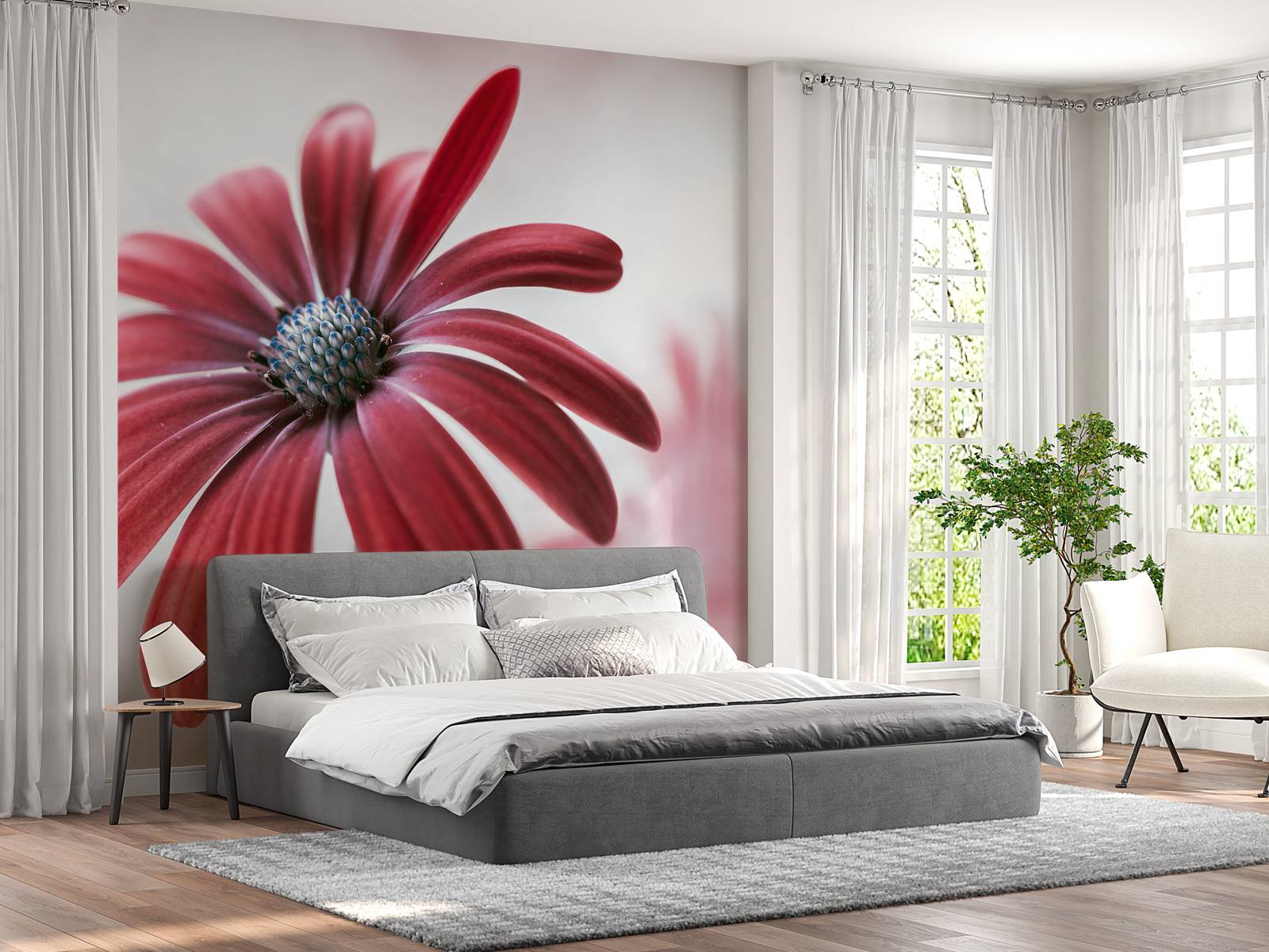 Red Daisy