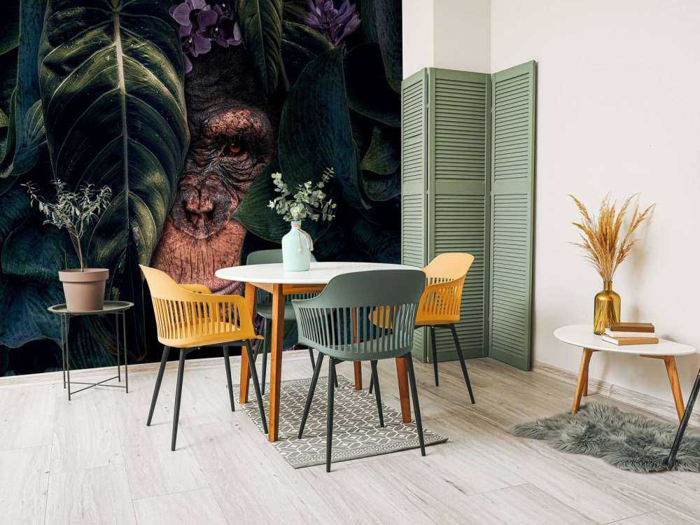 Jungle Chimpanzee