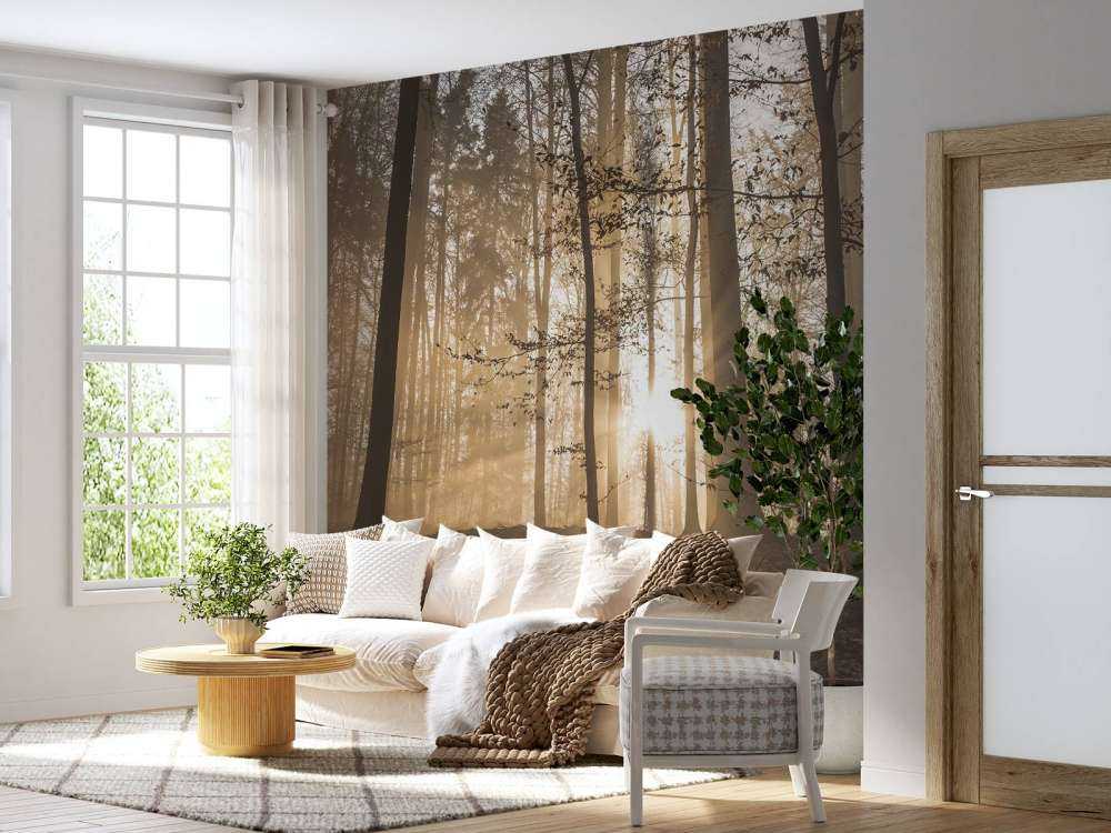 Sonnenstrahlen in einem nebligen Wald