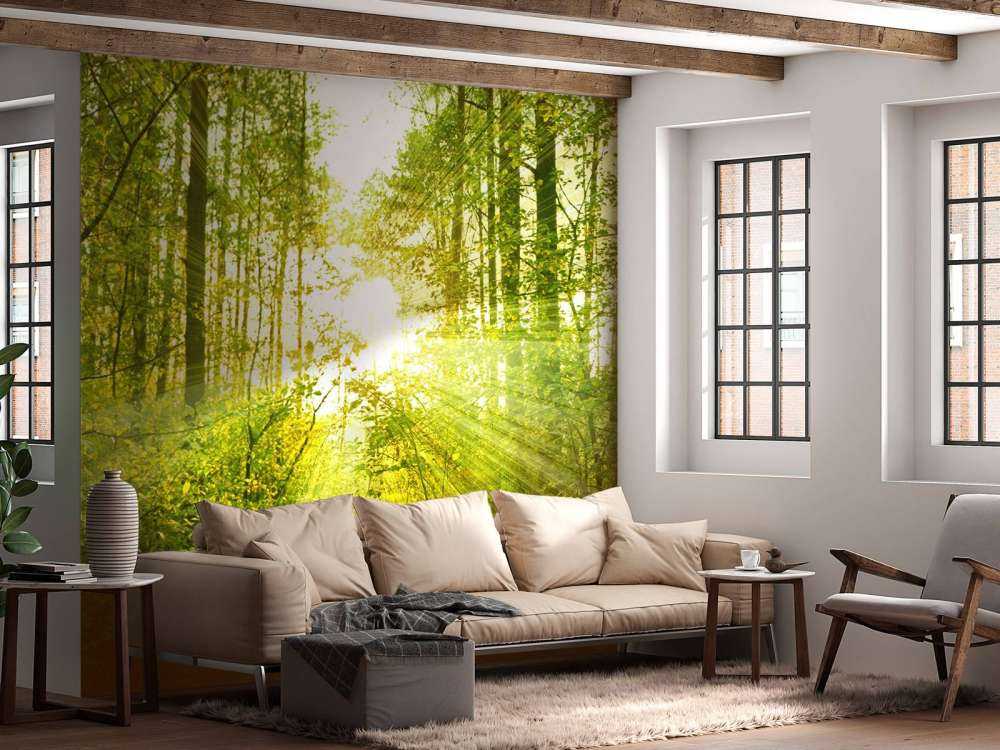 Sonnenstrahlen in einem grünen Wald