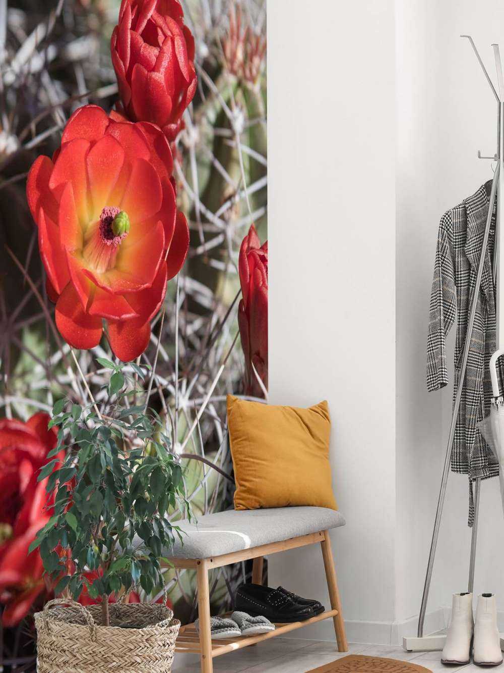 Rote Kaktusblumen