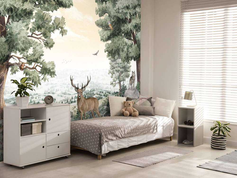 Forest Vista