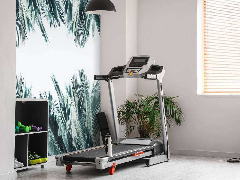Palmenblätter auf weißem Hintergrund