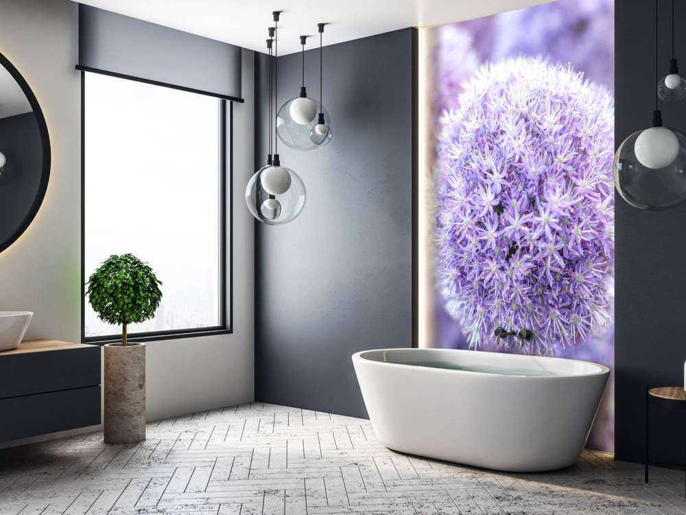 Purple Alliums