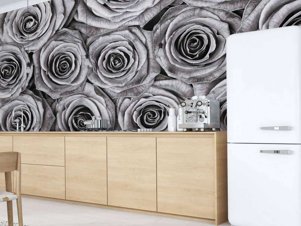 Roses full frame