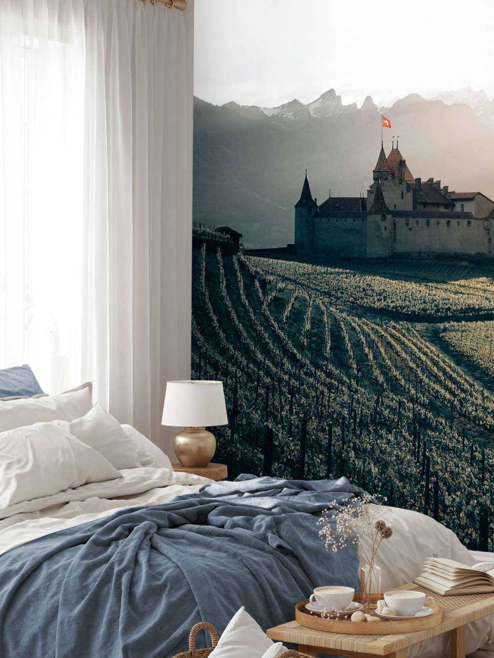 Schloss Aigle