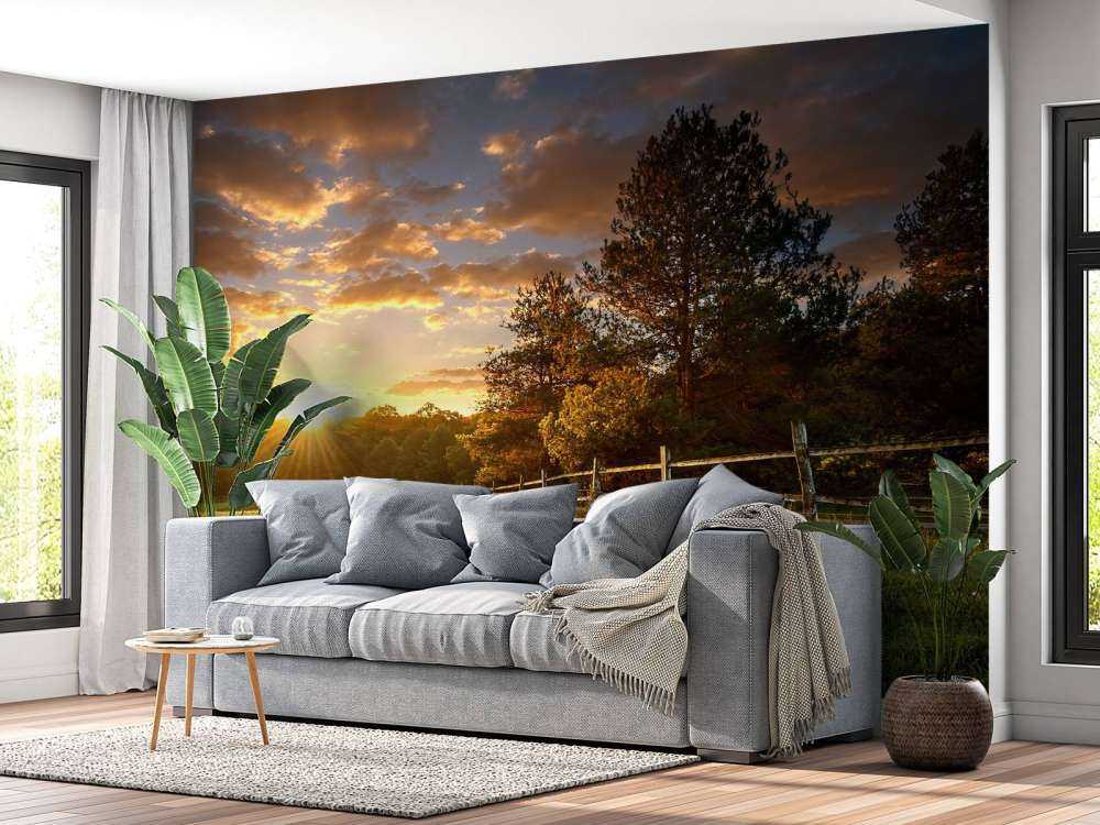 Weide mit Sonnenuntergang