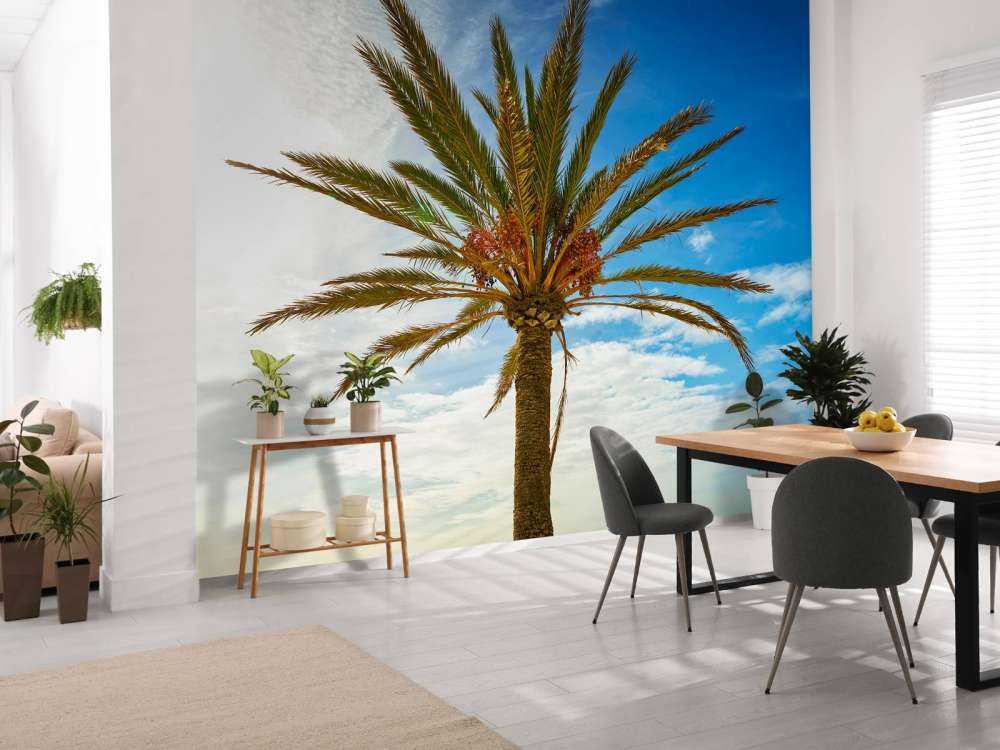 Wunderschöne Palme