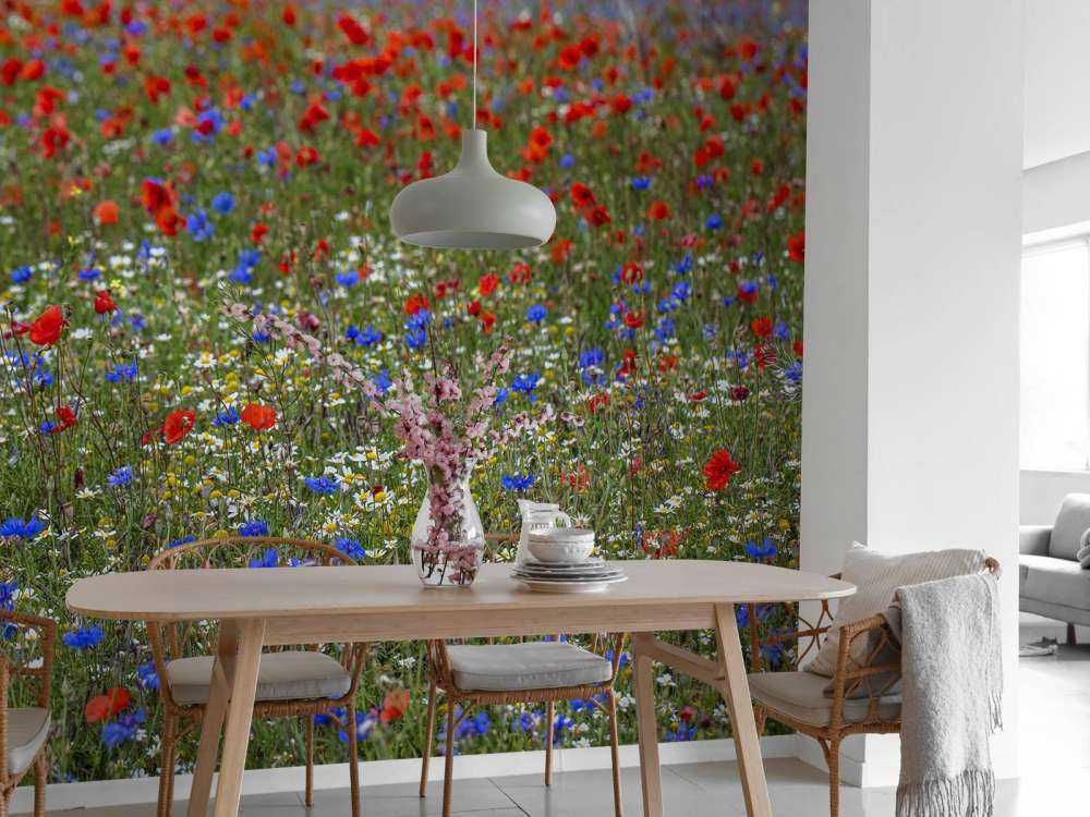 Feld voller Mohnblumen