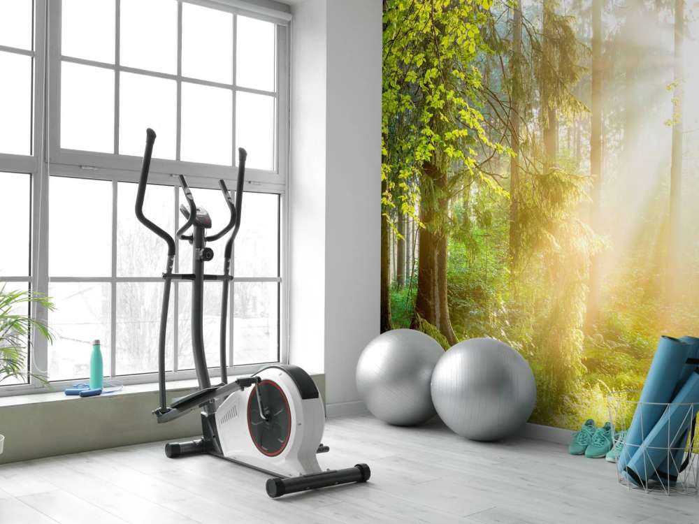 Waldlandschaft bei Sonnenaufgang