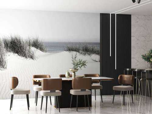 Dünenübergang zum Strand schwarz und weiß